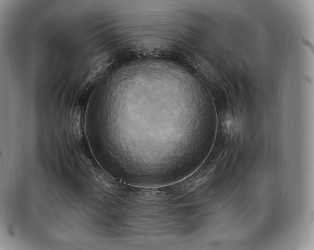 X0000099231060200805011132