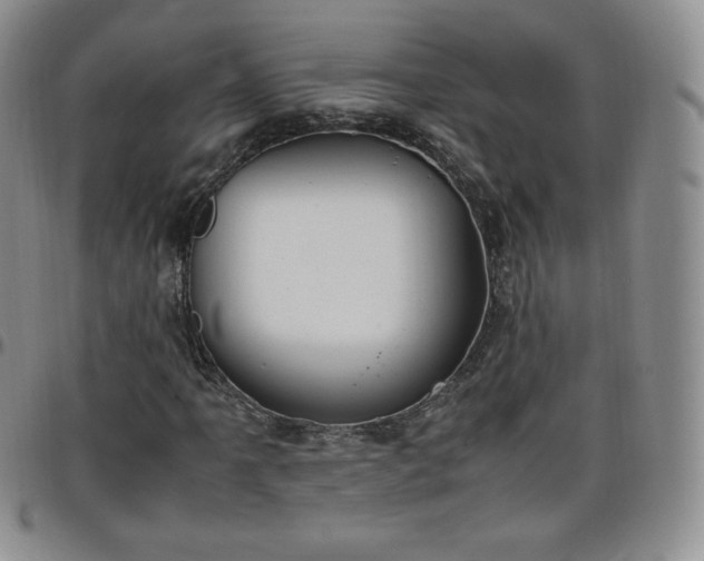 X0000099231061200805011132