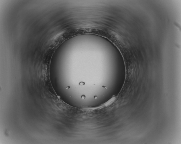 X0000099231062200805011132