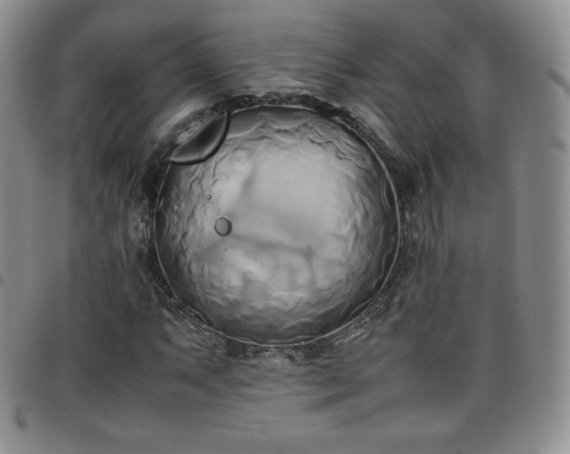 X0000099231063200805011132