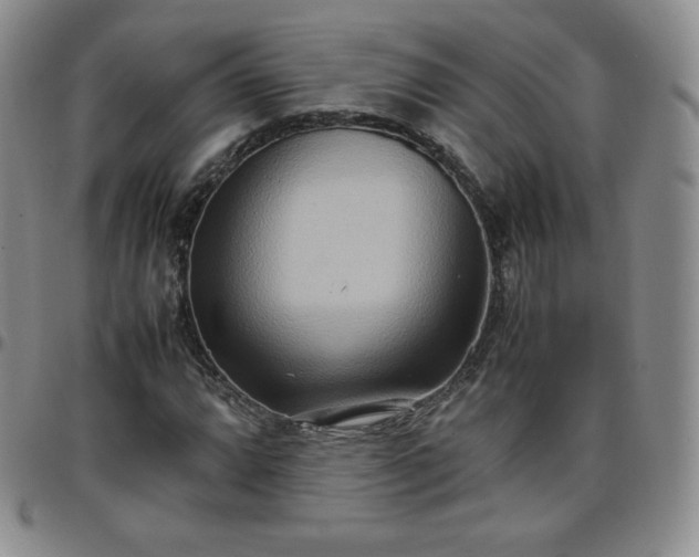 X0000099231064200805011132