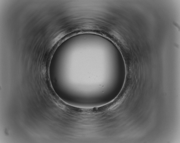 X0000099231065200805011132