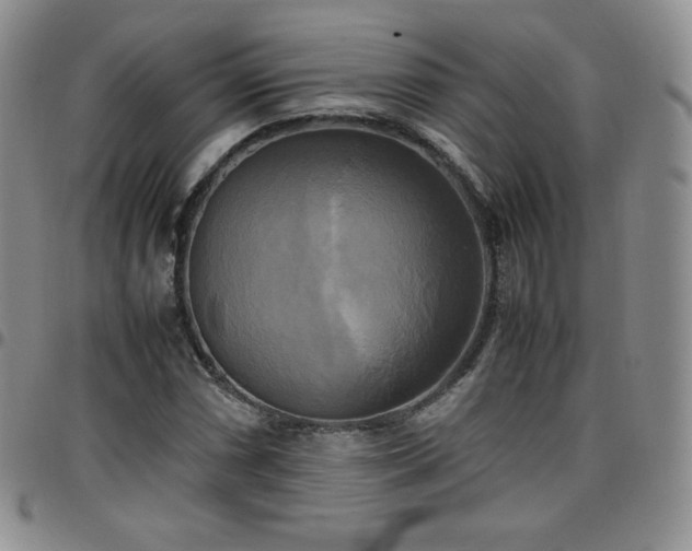 X0000099231066200805011132