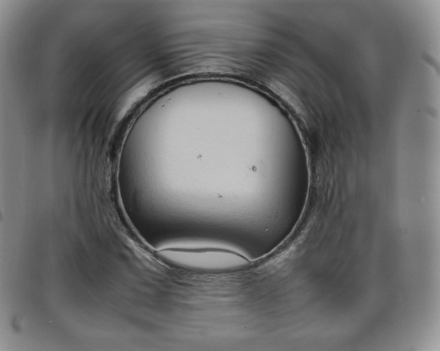 X0000099231067200805011132