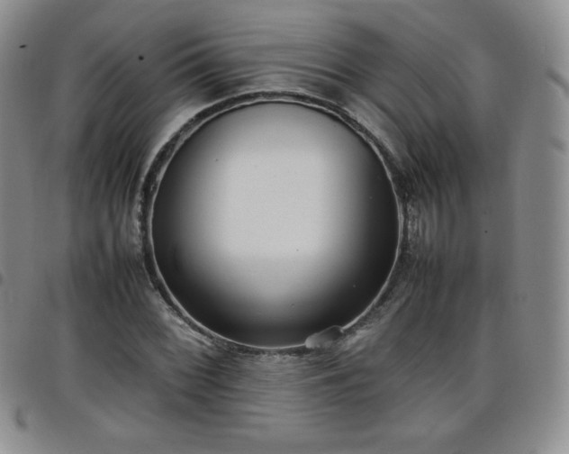 X0000099231068200805011132