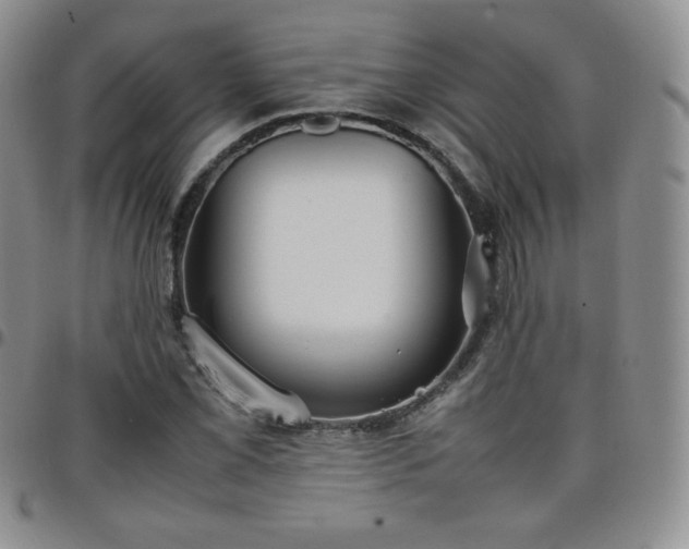 X0000099231069200805011132