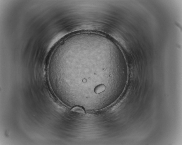 X0000099231070200805011132