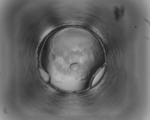 X0000099231071200805011132