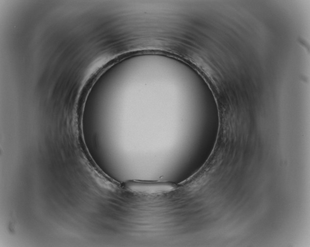 X0000099231072200805011132