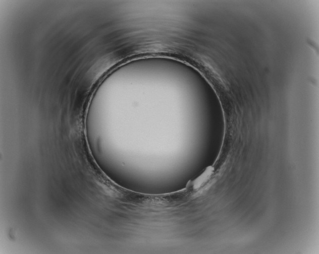 X0000099231073200805011132