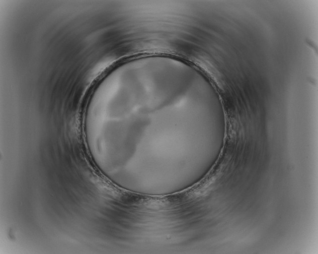 X0000099231074200805011132