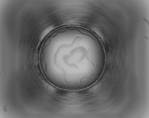 X0000099231075200805011132