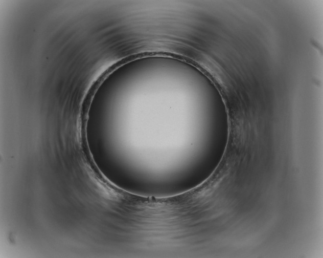 X0000099231076200805011132