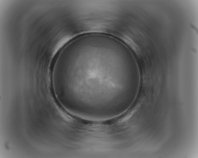 X0000099231077200805011132