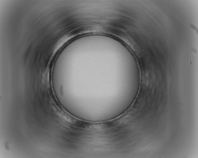 X0000099231078200805011132