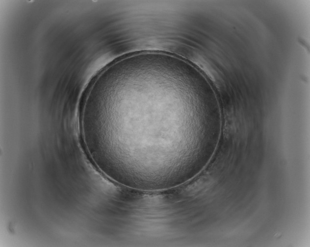 X0000099231080200805011132