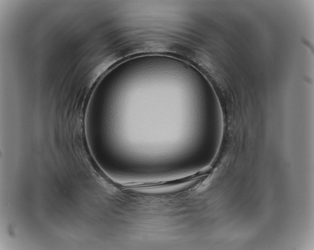 X0000099231081200805011132