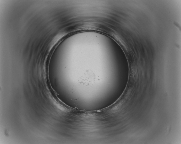 X0000099231082200805011132