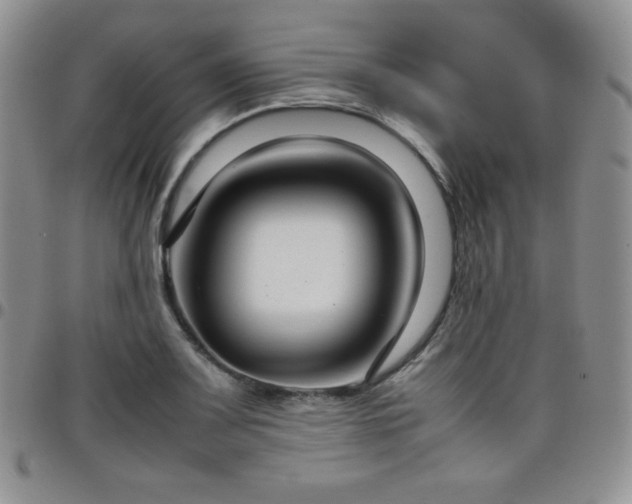 X0000099231083200805011132