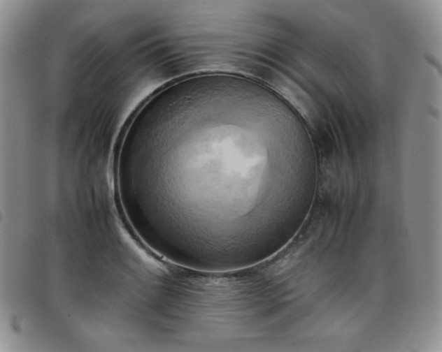 X0000099231084200805011131