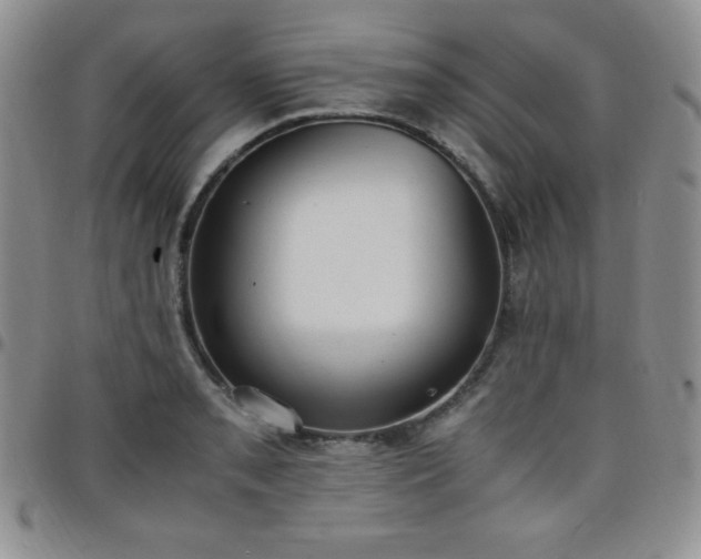 X0000099231085200805011131