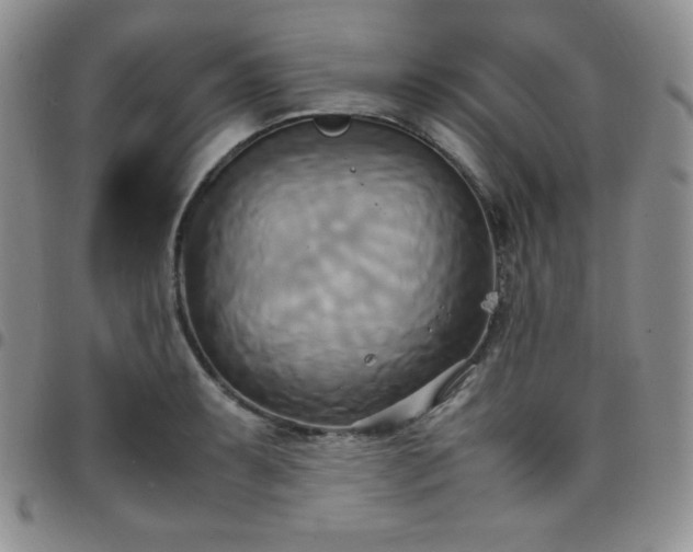 X0000099231087200805011131