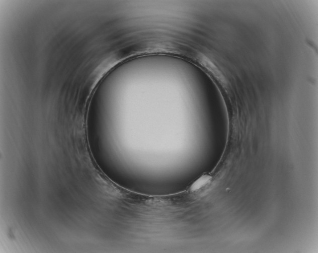 X0000099231089200805011131