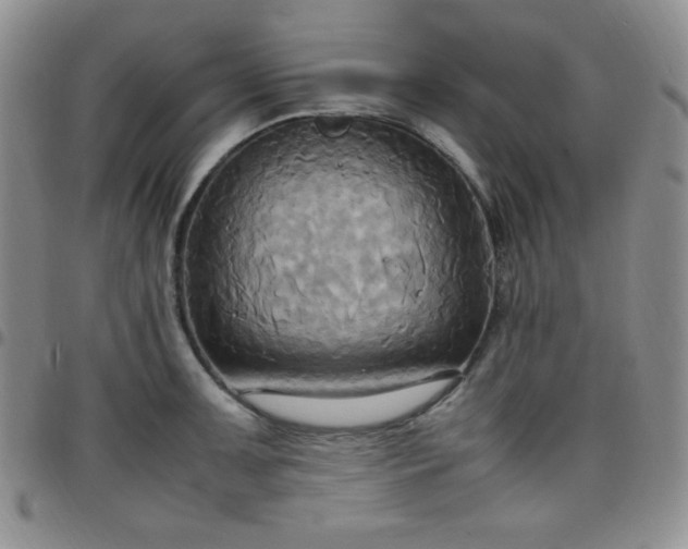 X0000099231091200805011131