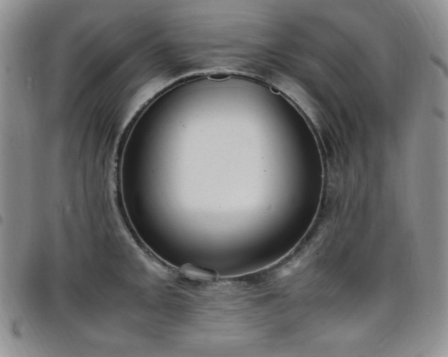 X0000099231093200805011131