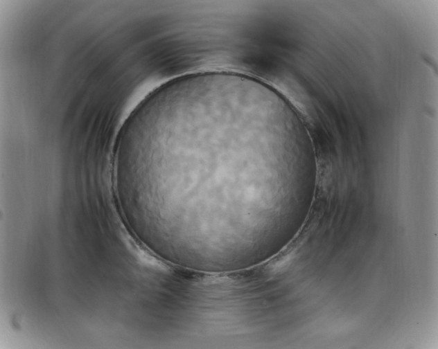 X0000099231094200805011131