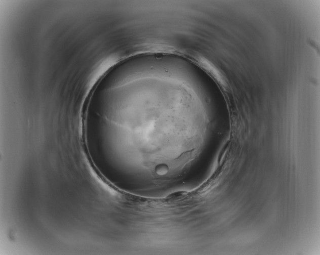 X0000099231095200805011131