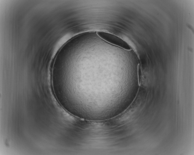 X0000099231096200805011131