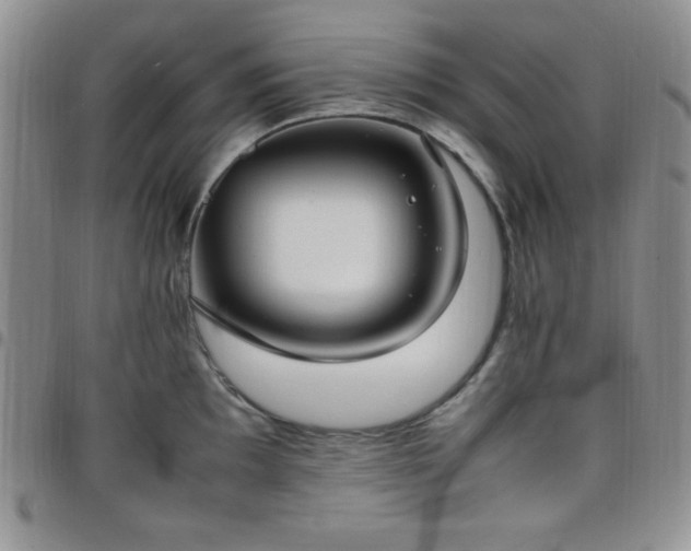 X0000099231097200805011131