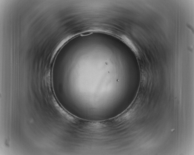 X0000099231100200805011131