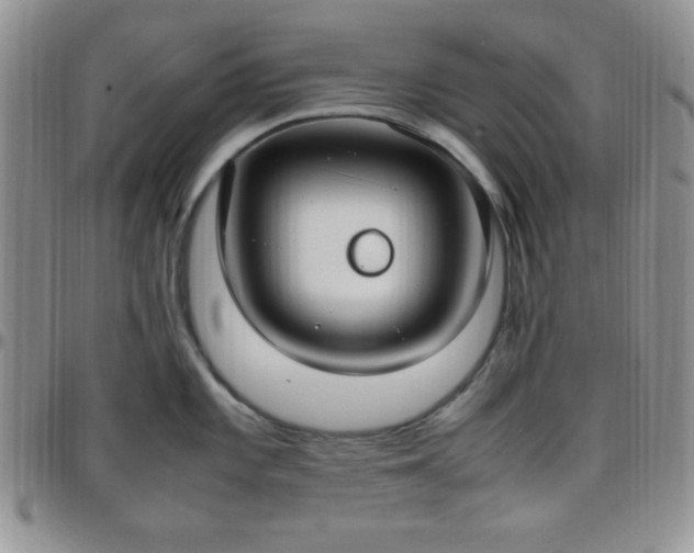 X0000099231101200805011131