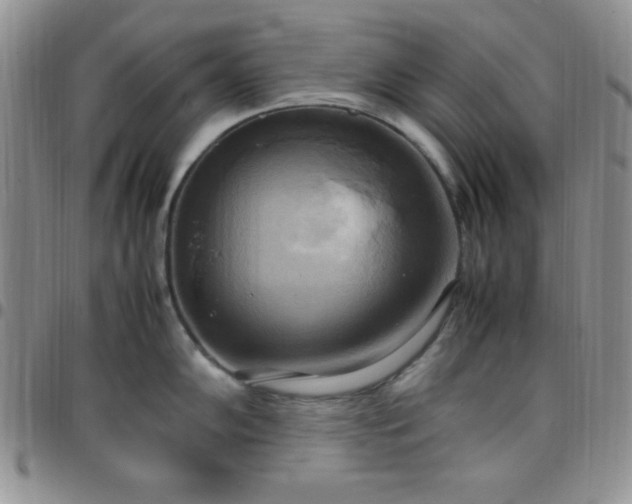 X0000099231102200805011131