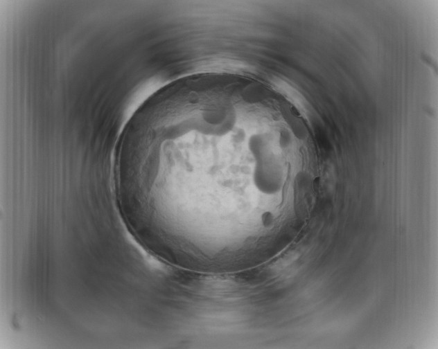 X0000099231103200805011131