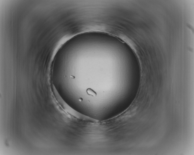 X0000099231104200805011131