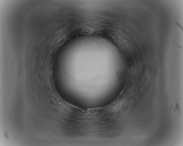 X0000099231105200805011131