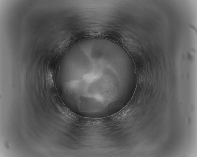 X0000099231106200805011131