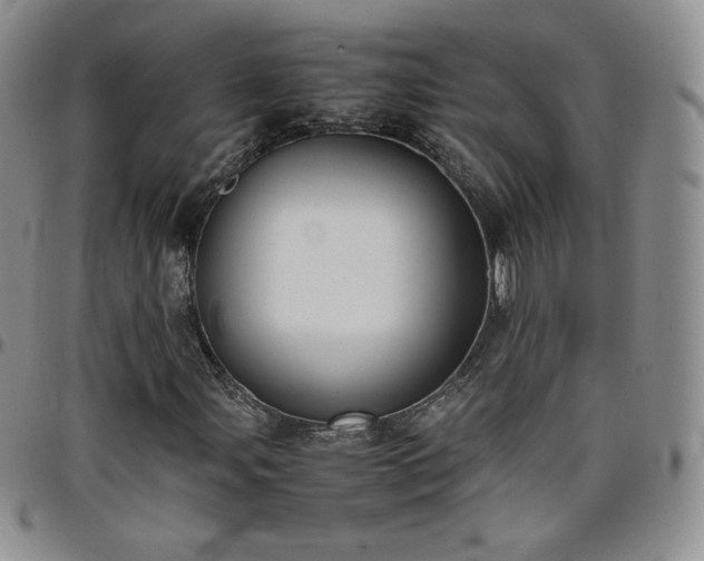 X0000099231107200805011131