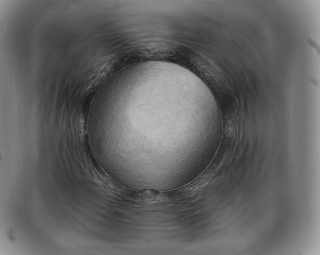 X0000099231108200805011131