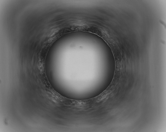 X0000099231109200805011131