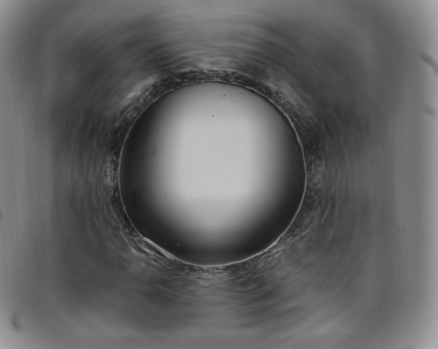 X0000099231110200805011131