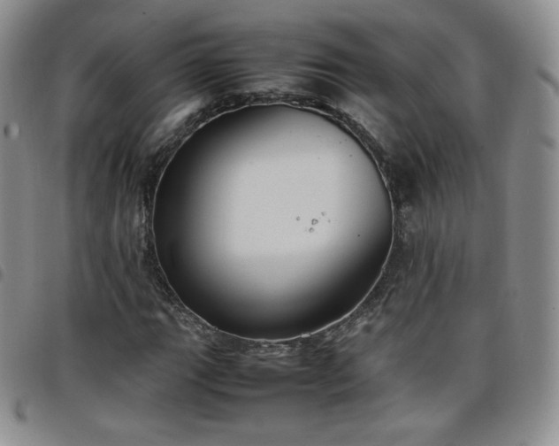 X0000099231111200805011131