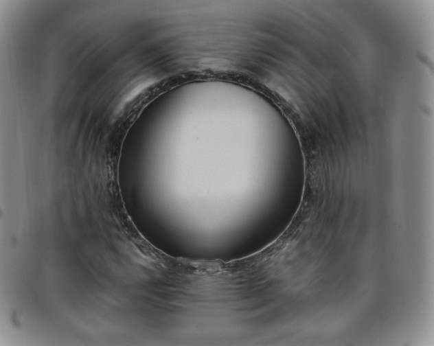 X0000099231112200805011131