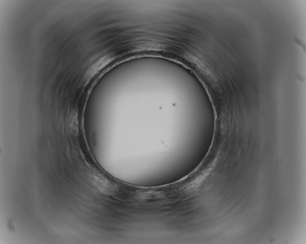 X0000099231113200805011131