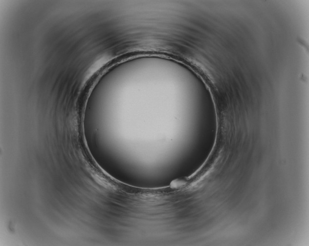 X0000099231114200805011131