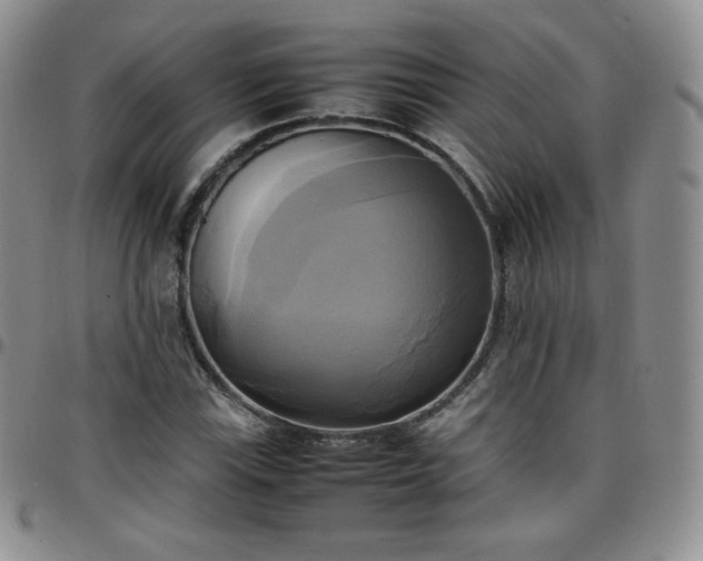 X0000099231115200805011131