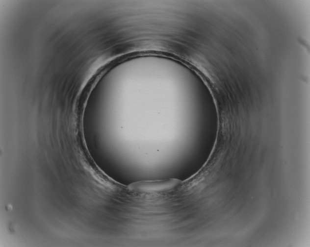 X0000099231116200805011131